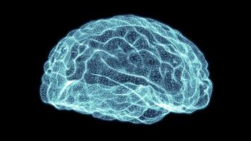 cérebro de grade holográfica