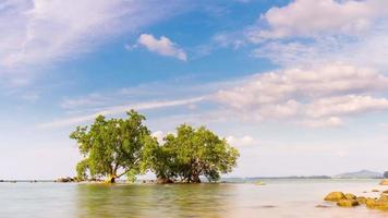 Panorama de manglares de playa de la isla de phuket de día soleado de Tailandia 4k lapso de tiempo