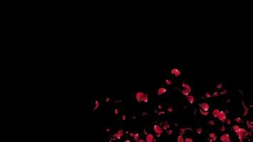 verticale vliegende bloemblaadjes rozen 3d animatie video