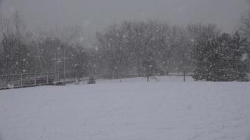 parque durante la tormenta de nieve video