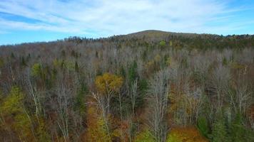 New Hampshire in de herfst video