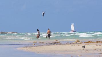 Estados Unidos día de verano miami beach kite boat ride panorama 4k florida