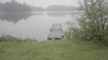 Ontario Kanada Wildnis Wald Natur See Sommer nebligen Tag schlechtes Wetter Morgen video