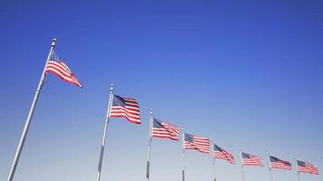 video shot in washington dc of american flags