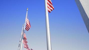 Vidéo tournée à Washington DC des drapeaux américains