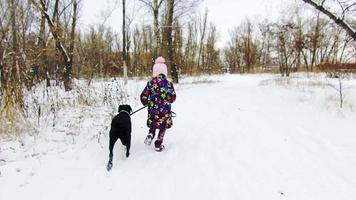 bambina che gioca con il suo labrador nero sulla neve