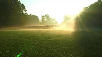 ronin stabiliserade skott över dimmigt fält mot soluppgång video
