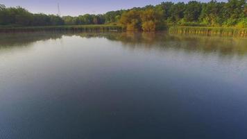 belo sobrevôo matinal de lagoa enevoada, brejo, pântanos video