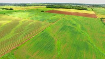 üppig grüne Weiden, Felder von Wisconsin