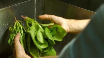 Male hands washing spinach. video
