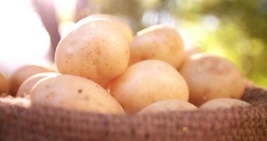 Tüte Kartoffeln mit Sonneneruption video