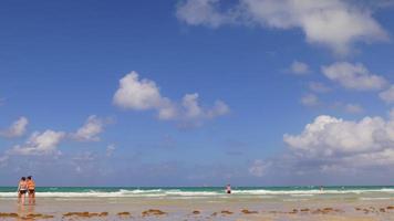 Estados Unidos día de verano miami south beach panorama 4k florida