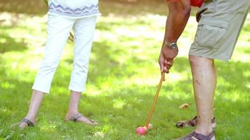 Mature Black Friends Playing Croquet Outside in a Park