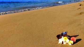 ondas lavam óculos de sol e conchas na praia de areia tropical