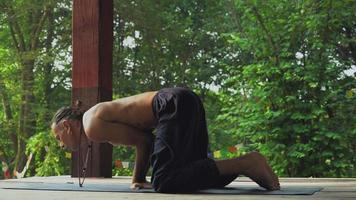yogi houdt zich bezig met oefeningen en maakt een gestage show op de handpalmen video