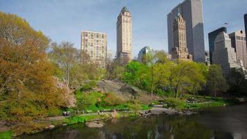 usa jour d'été new york central park étang ville panorama 4k time-lapse video