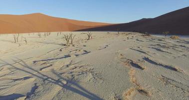 4 k luchtfoto van mannelijke toerist die over dode vlei loopt in de woestijn van namib in het namib-naukluft national park