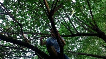 ragazzo adolescente si arrampica sul vecchio albero. al ragazzo piace davvero arrampicarsi su un albero.