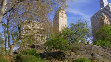 usa new york city central park sommardag panorama 4k video