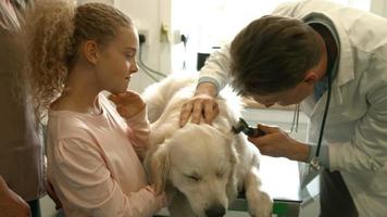 Mutter und Tochter mit Hund beim Tierarzt video