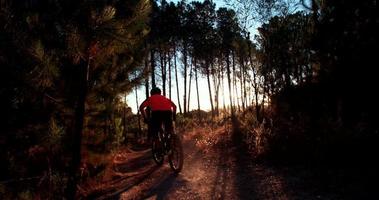 Vélo de montagne hors route sur une route forestière en pleine nature
