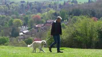homem maduro leva cachorro para passear no campo, filmado em r3d
