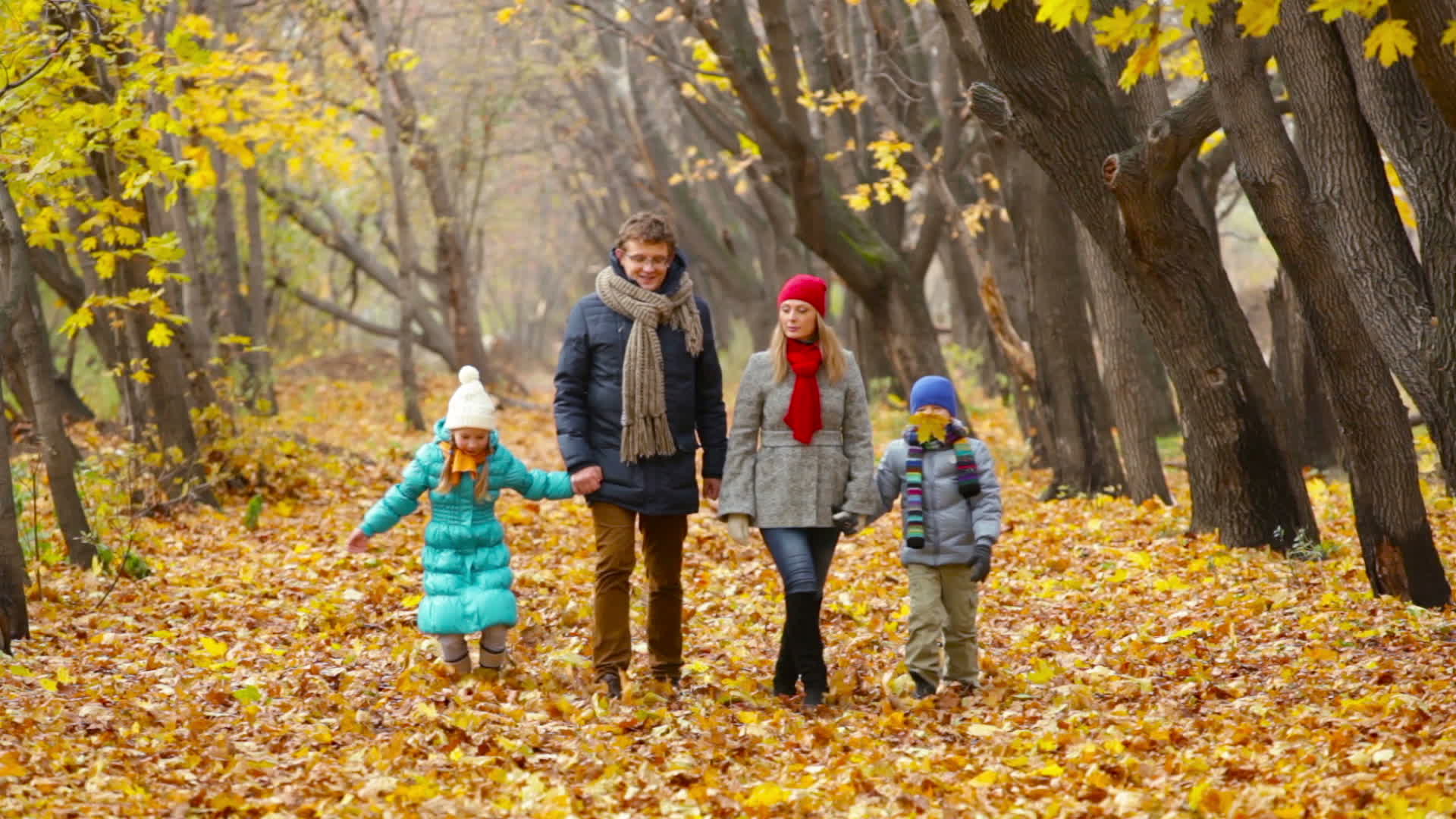 Family Weekend 1296530 Stock Video at Vecteezy