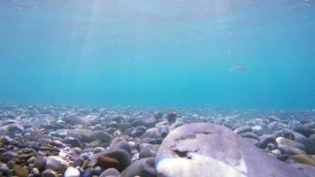 Unterwasserhintergrund, 4k video