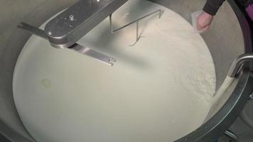 Gouda cheese making from raw milk video