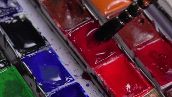 Brush taking watercolor in palette
