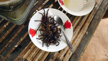 Deep fried tarantulas on a bowl video