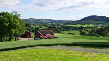 schöne norwagische dorfhäuser mit grünem grasdach, norwegen