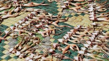 Les mouches se nourrissant de grenouilles mortes séchant sur un tapis