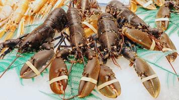 lebende Hummer und Krabben, Krallen rühren. der berühmte la boqueria markt in barcelona