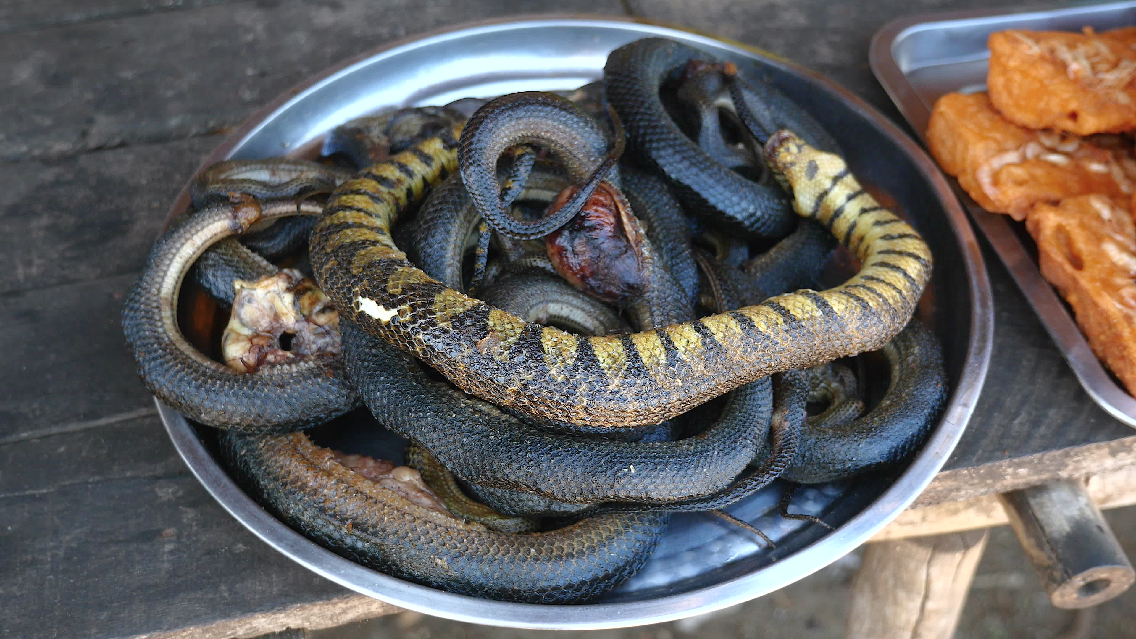 Various species of fried snakes for selling at street market 1297421