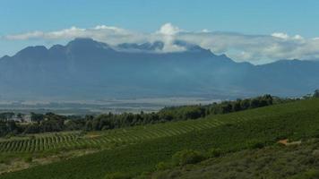 Vineyards and mountain time-lapse. video