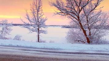 passando para o nascer do sol de inverno com vista panorâmica, entre árvores cobertas de neve