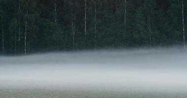 Laps de temps du brouillard du matin qui coule sur un champ video