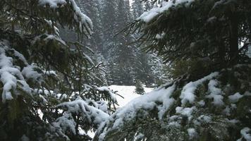 sneeuwval in de berg video