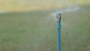sprinkler spray water on the lawn