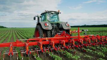 Steadicam fliegen um Schuss: Traktor zieht auf dem Feld, landwirtschaftlicher Mechanismus zum Jäten von Pflanzen