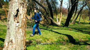 Joven excursionista con mochila y bastones de trekking camina al aire libre video