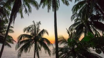 Tailândia phuket sunset palm tree beach panorama 4k time lapse
