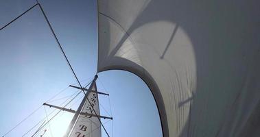 Yacht sail on a sunny day video