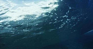 vue sous-marine du surf video