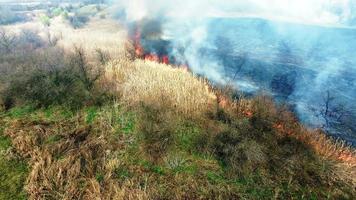 Aerial view of dry grass burning in steppe video