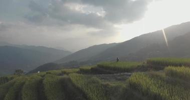 terrasse de riz longji à ping un village video