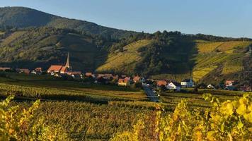 Sunset in Alsace Vineyard France video