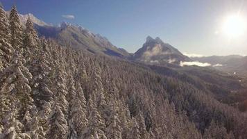 Antena de invierno soleado de árboles forestales de montaña cubiertos de nieve y picos altos