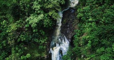 tropisch regenwoud waterval video